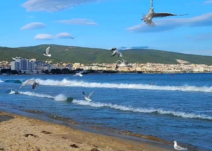 Luxury In Cascadas Family Sunny *