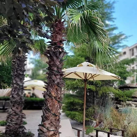 Luxury In Cascadas Family Sunny * Сонячний Берег